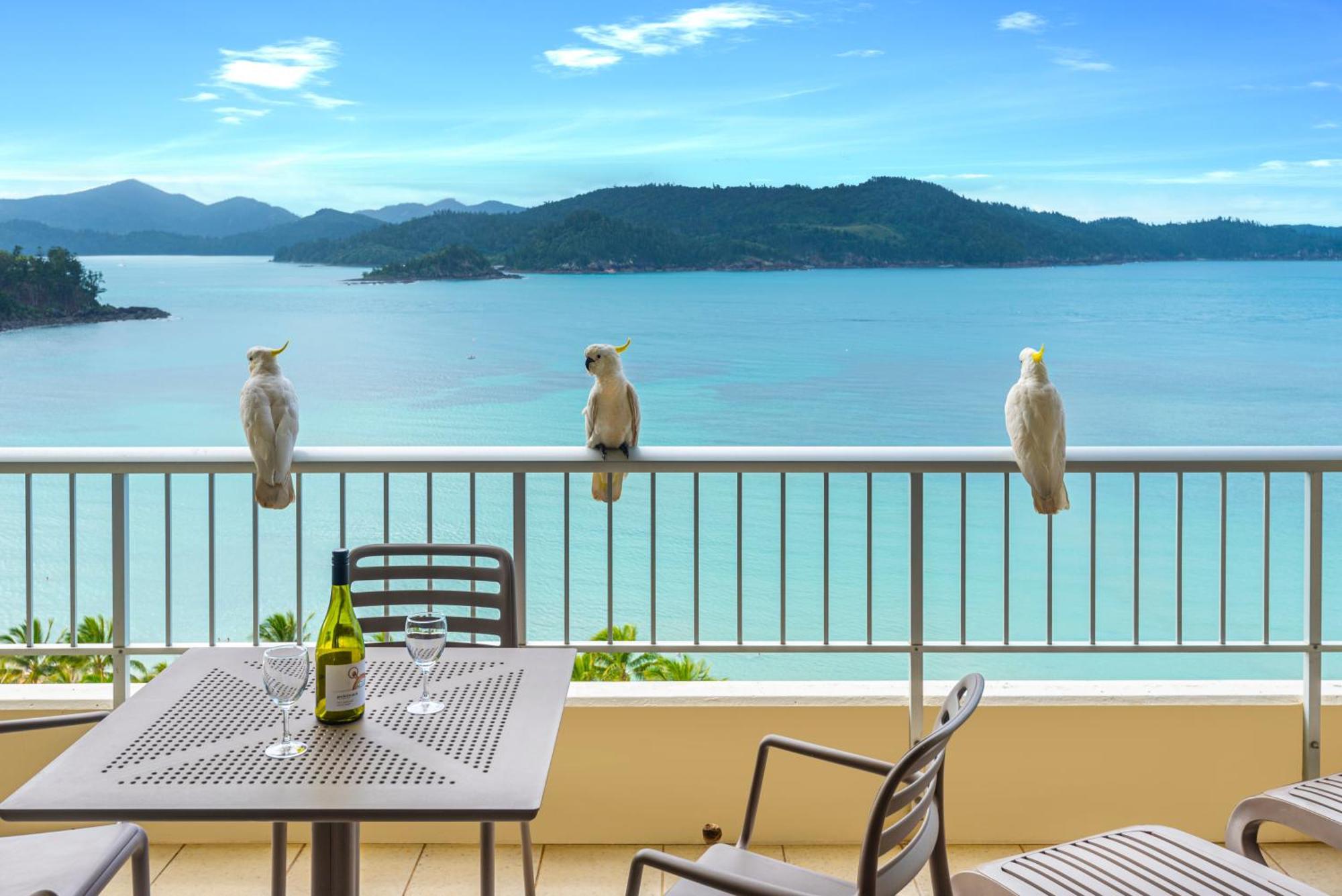 Whitsunday Apartments On Hamilton Island By Hiha Bagian luar foto